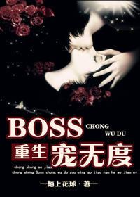 BOSS޶